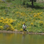 Pesca
